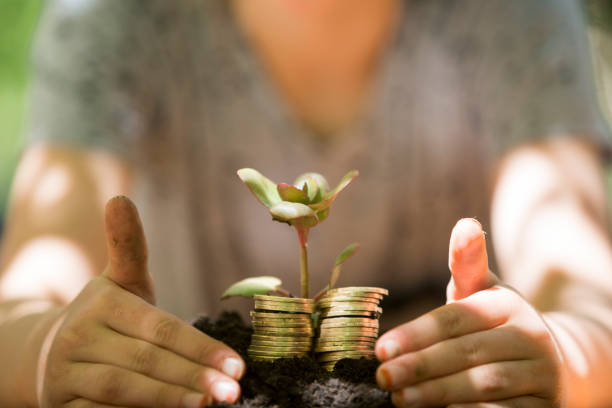 istock Green plant growth through a stack of coins 692224370