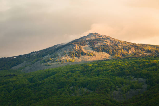 View of Kamen del peak in Vitosha Nature Park, Sofia stock photo