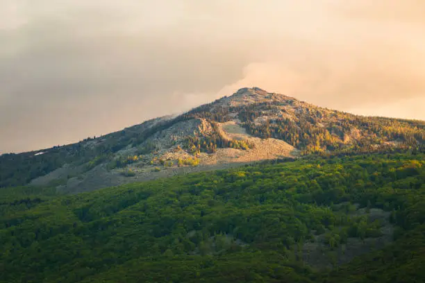 Photo of View of Kamen del peak in Vitosha Nature Park, Sofia