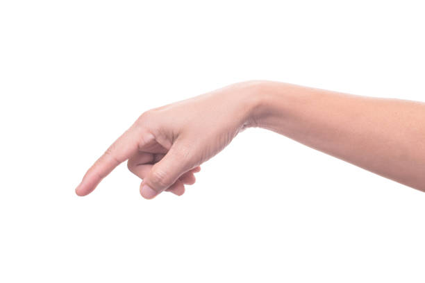 istock female hand isolated on white background 692228120