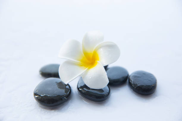 istock flowers and zen stone 692234224