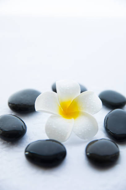 istock flowers and zen stone 692234494