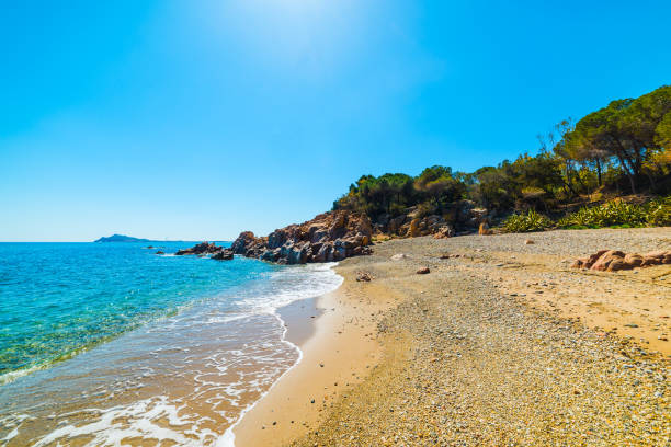 istock Golden shore in Santa Maria Navarrese 692243194