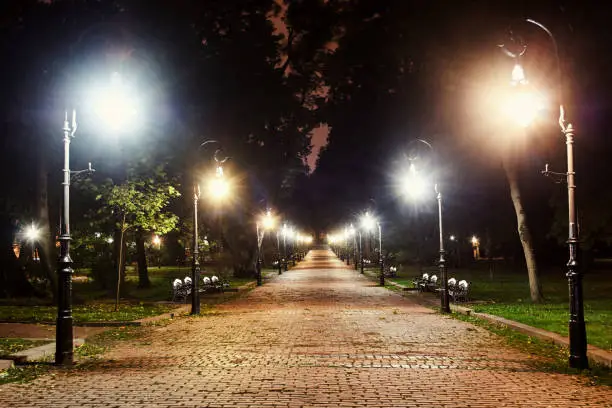 Photo of City park at night