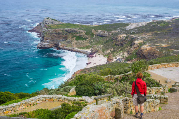 escursioni turistiche a cape point, guardando la vista di cape of good hope e dias beach, destinazione di viaggio panoramica in sudafrica. table mountain national park, penisola del capo. - mountain looking at view beach cliff foto e immagini stock