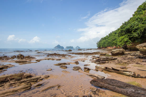 istock beautiful beach and rocks at Laem Chamuk Khwai 692253814