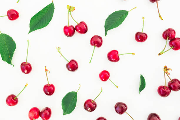 istock Red cherry and leaves on white background. Flat lay. Top view. Summer pattern 692254182