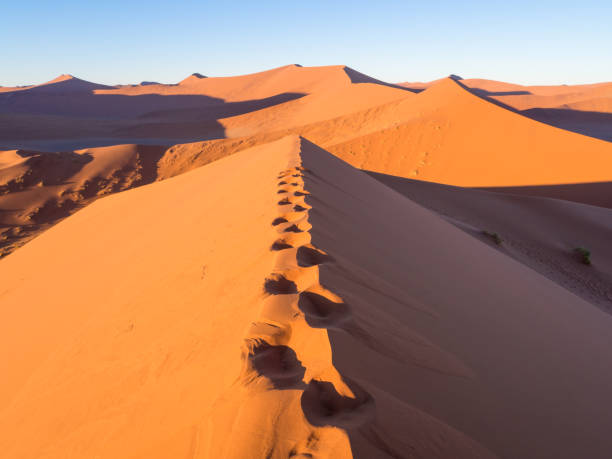 istock Sunrise at Dune 45 in Namib Desert, Namibia. 692256254
