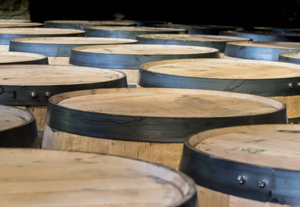 istock Looking Out Over Barrels in Storage 692259798