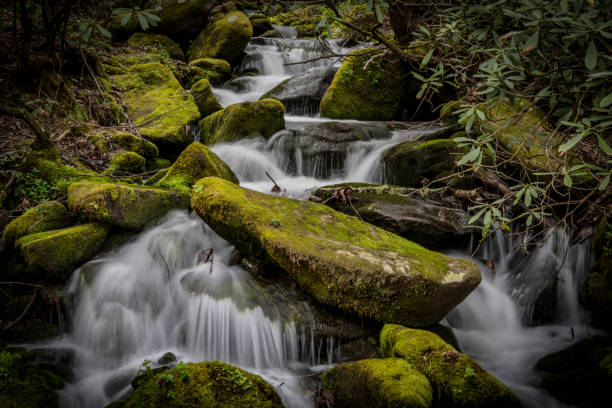 rocas cubiertas de musgo con que agua - boulder flowing water mountain range rock fotografías e imágenes de stock