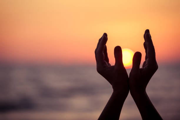 silhouette of female hands during sunset. Concept of life.