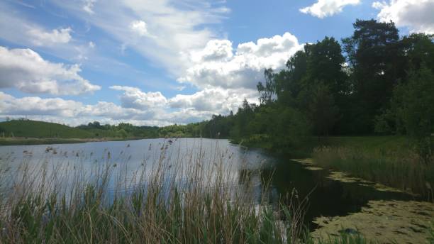 istock Sky,  clouds,  lake and place where frogs live 692270314