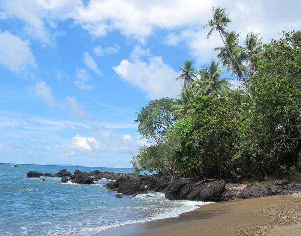 istock Corcovado Beach, Osa Peninsula, Costa Rica 692271138