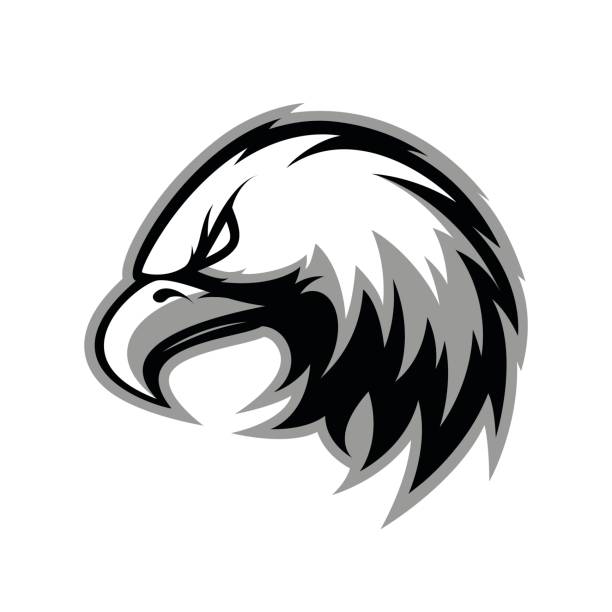 ilustrações de stock, clip art, desenhos animados e ícones de furious eagle head sport vector icon concept isolated on white background. - mascot anger baseball furious