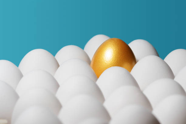 istock The concept of individuality, exclusivity, better choice. 692279190