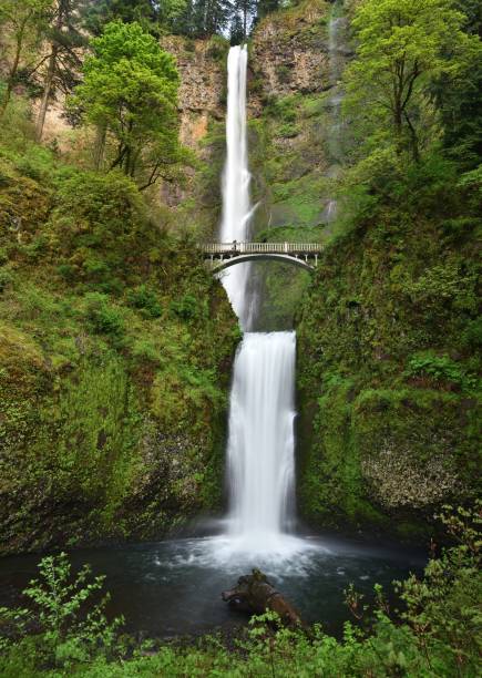 istock Multnomah Falls, Oregon tallest waterfall and most-visited attraction 692295930