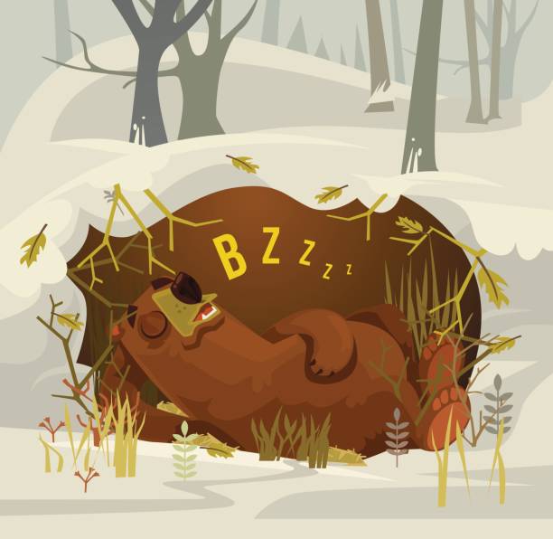 ilustraciones, imágenes clip art, dibujos animados e iconos de stock de feliz sonriente oso personaje mascota durmiendo y descansando en su cueva - winter cave bear hibernation