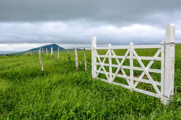 LIMOEIRO, PERNAMBUCO, BRAZIL - JUNE 01, 2017: View of the pasture and Locked gate at a field in Limoeiro, Pernambuco, Brazil.