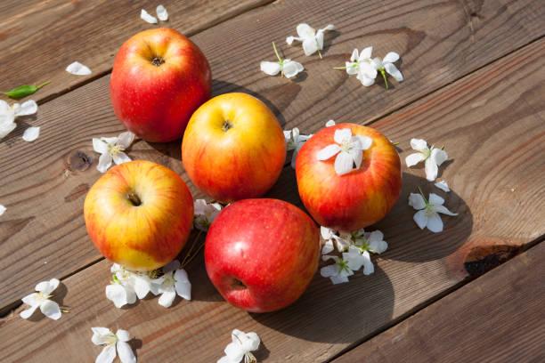 istock Fresh apples on a dark wooden background 692319116