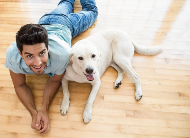 istock Attractive man lying on floor with his labrador 692333938