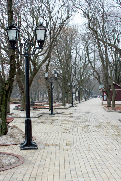 istock Sad park with many trees in February 692336892