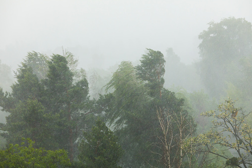 Stormy weather with rain