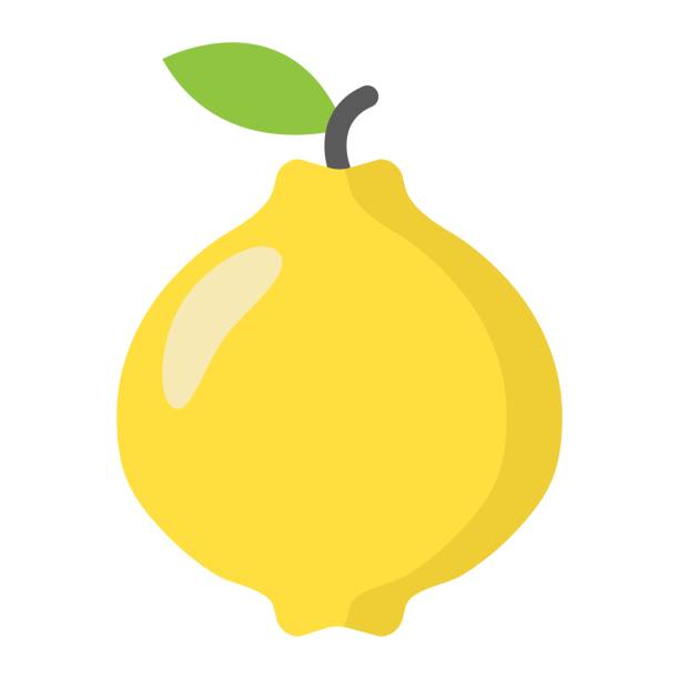 illustrazioni stock, clip art, cartoni animati e icone di tendenza di icona piatta della mela cotogna, frutta e dieta, grafica vettoriale, un motivo solido colorato su sfondo bianco, eps 10. - quince