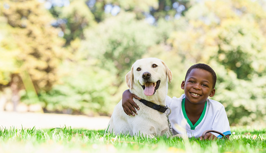 Cute little boy lying with labrador dog on a sunny day