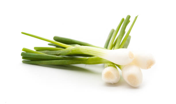 istock collection green onion on the white background 692354516
