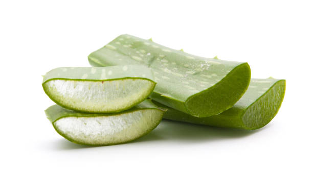 istock Aloe vera sliced isolated on a white background 692357042