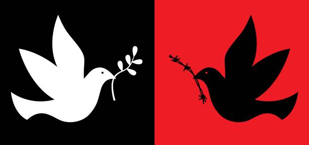 Peace And War Doves Vector illustration of two doves. One white dove carrying an olive be=ranch. One black dove carrying a piece of barbed wire. war bird stock illustrations