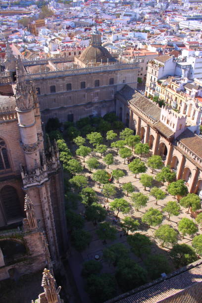 istock Look down Seville city view at the observatory 692368070