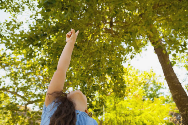istock Young girl pointing up at trees in park 692368208