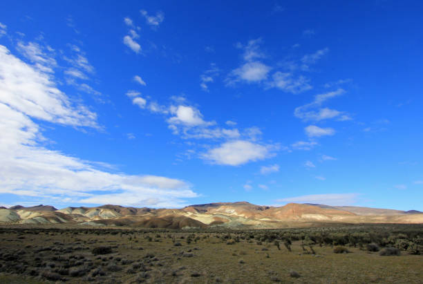 istock Beautiful badlands in the Chubut valley, Argentina 692370596