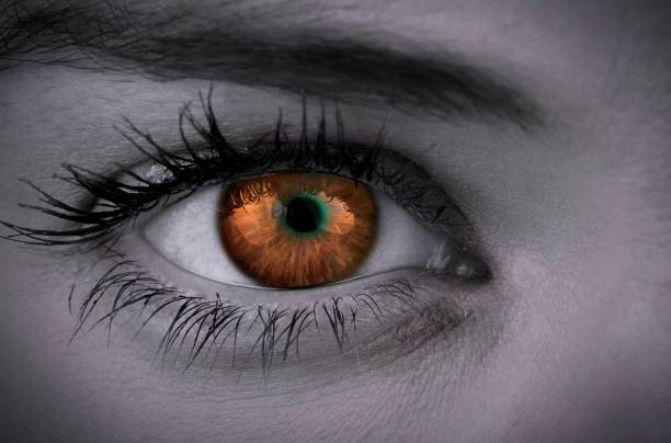 istock Orange eye on female face 692371076