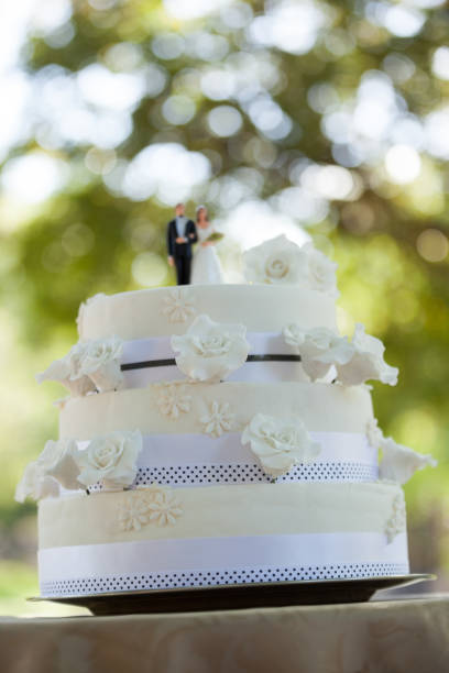 istock Figurine couple on wedding cake at park 692373588