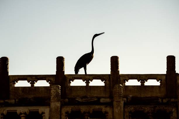 A bronze crane statue in Forbidden City, Beijing