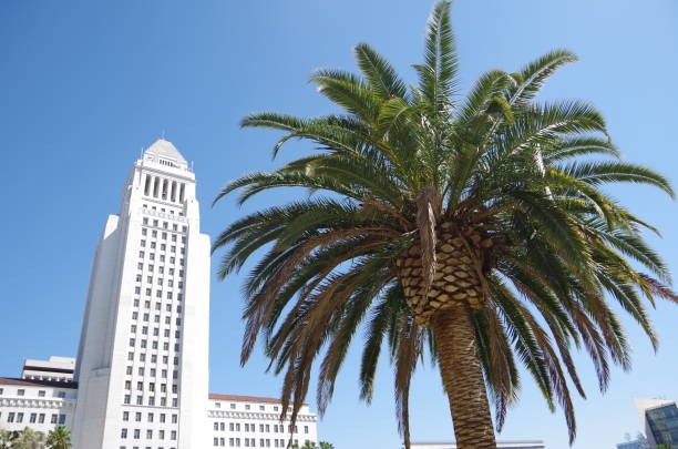 мэрия лос-анджелеса - los angeles city hall стоковые фото и изображения