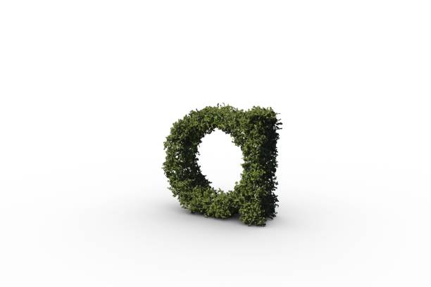 istock Letter a made of leaves 692381422