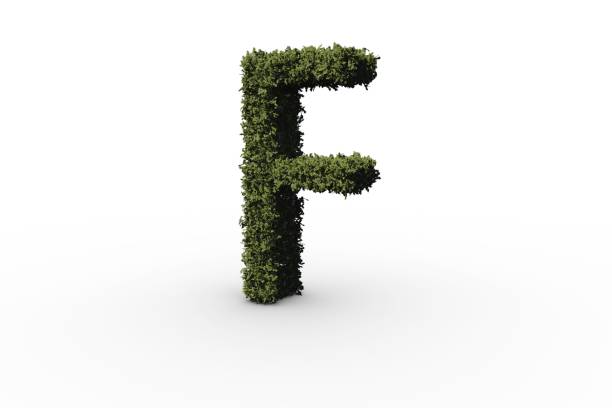 istock Letter f made of leaves 692381486