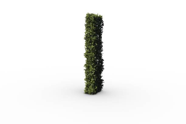 istock Letter i made of leaves 692381522