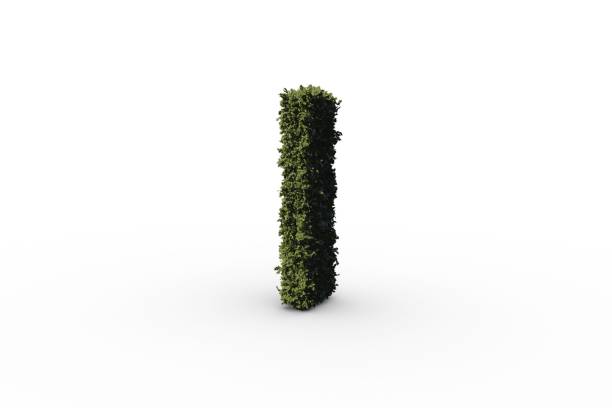 istock Letter l made of leaves 692390570