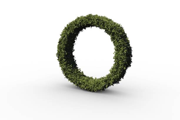 istock Letter o made of leaves 692390656