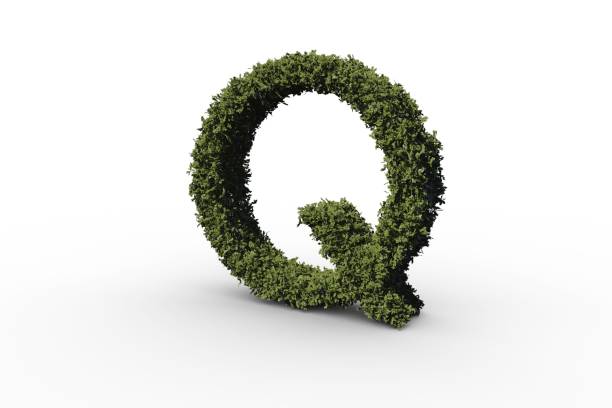 istock Letter q made of leaves 692390674
