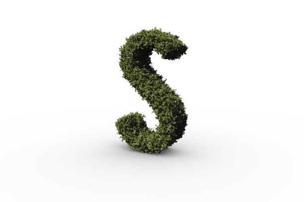 istock Letter s made of leaves 692390698