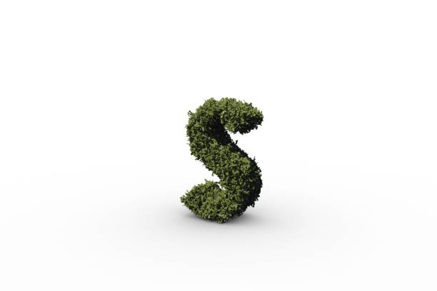 istock Letter s made of leaves 692390702