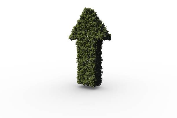 istock Arrow made of leaves 692390764