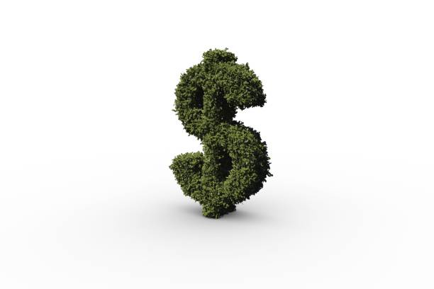 istock Dollar sign made of leaves 692390792