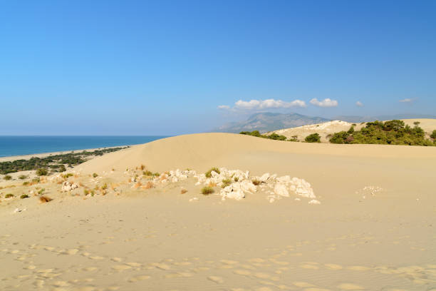 istock Sand dunes on Patara beach. Turkey 692395550