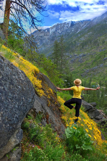 Woman in yoga pose in mountains among yellow wildflowers in spring. Central Cascade Mountains.  Portland. Vancouver. Oregon.  The United States. balsam root stock pictures, royalty-free photos & images